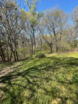 Prime Land in Neosho, MO