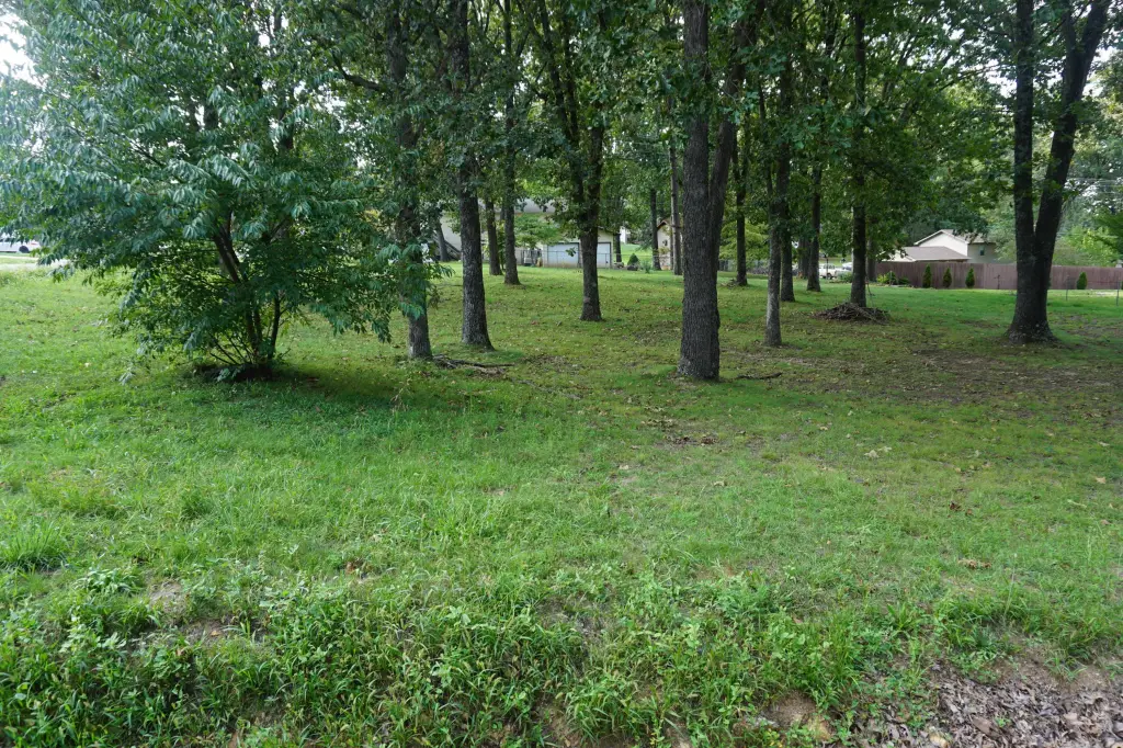Picture 4