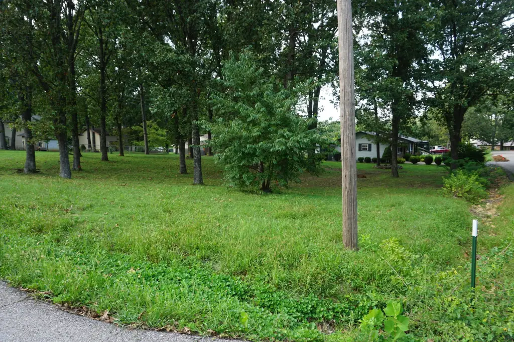 Picture 6