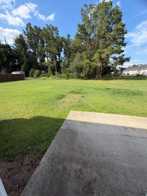 Picture 17