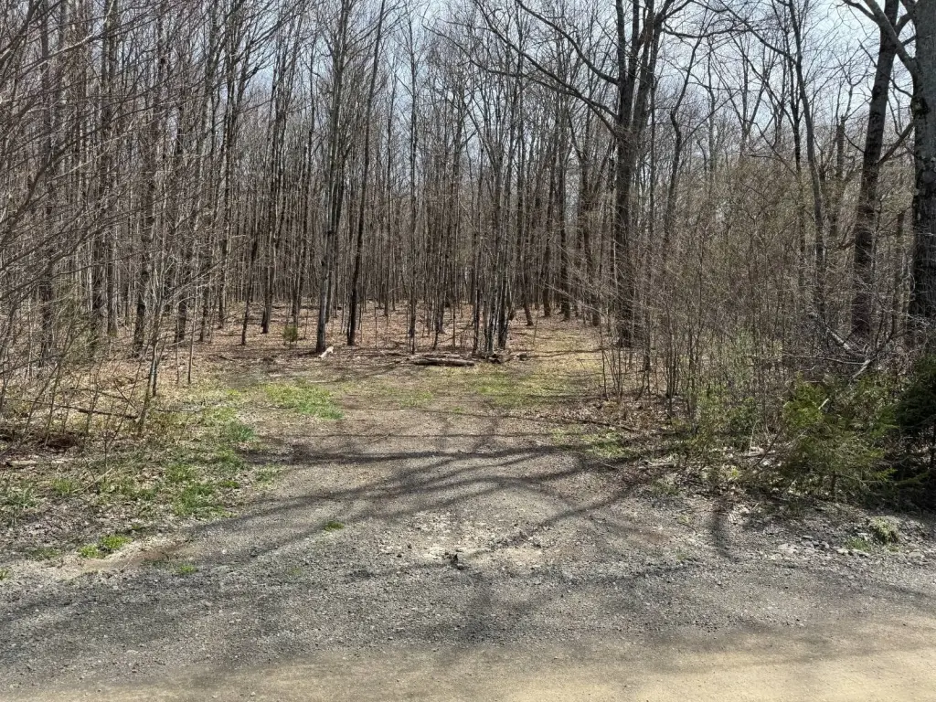 Picture 24