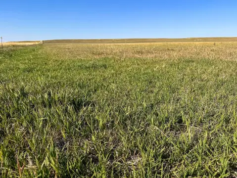 Agricultural Land in Banner County
