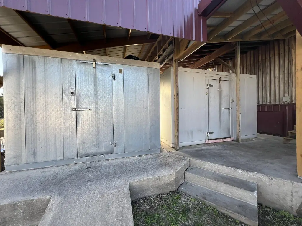 Picture 38