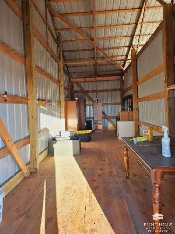 Picture 5