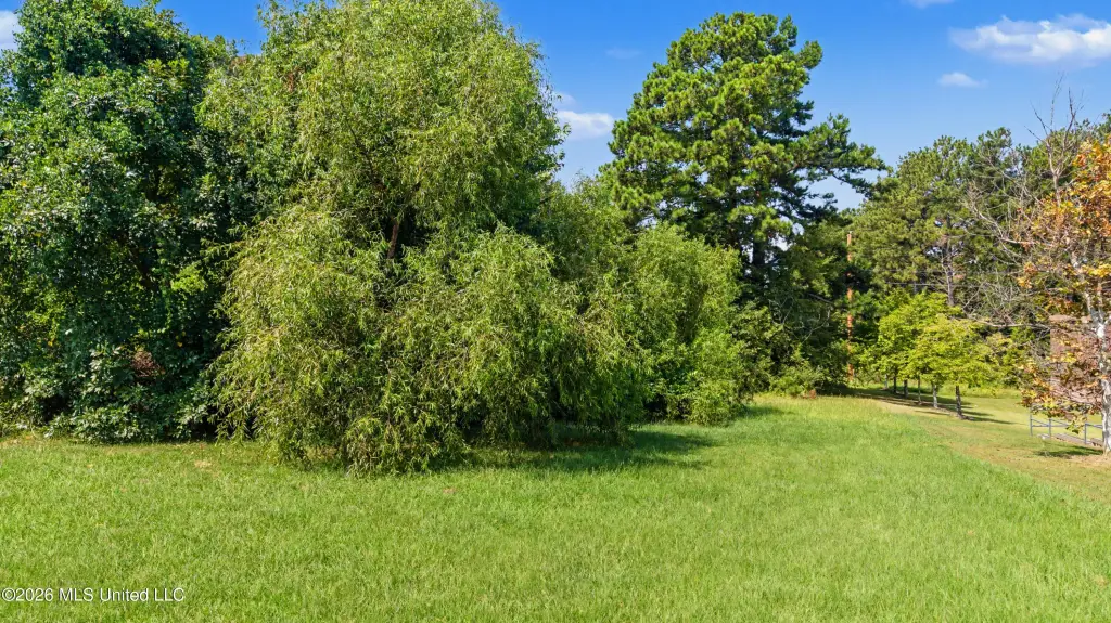 Picture 25