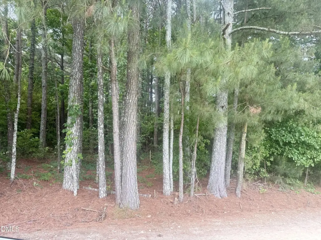 Picture 3