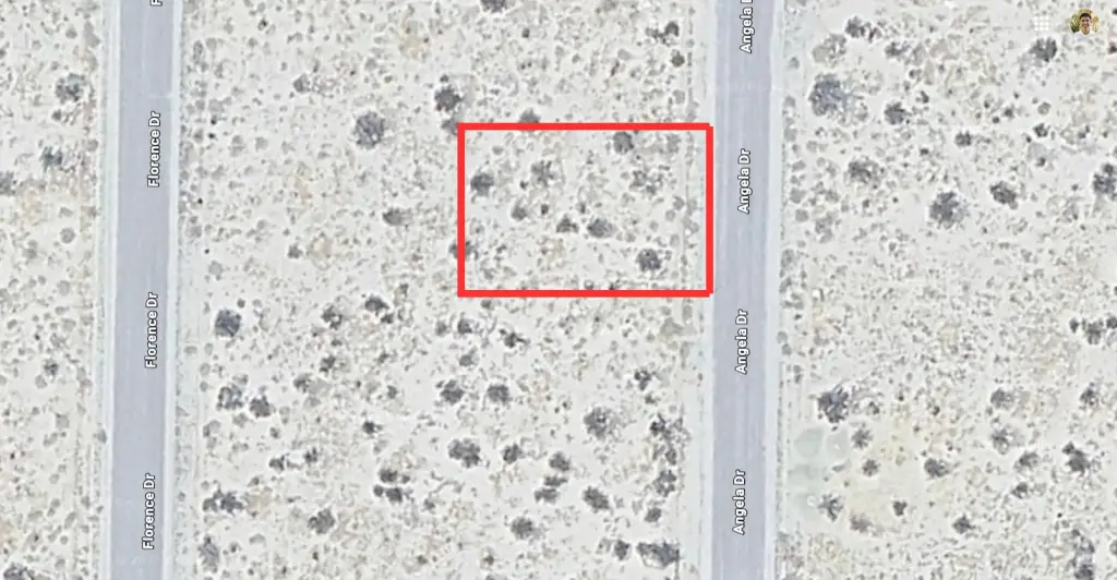 Picture 6