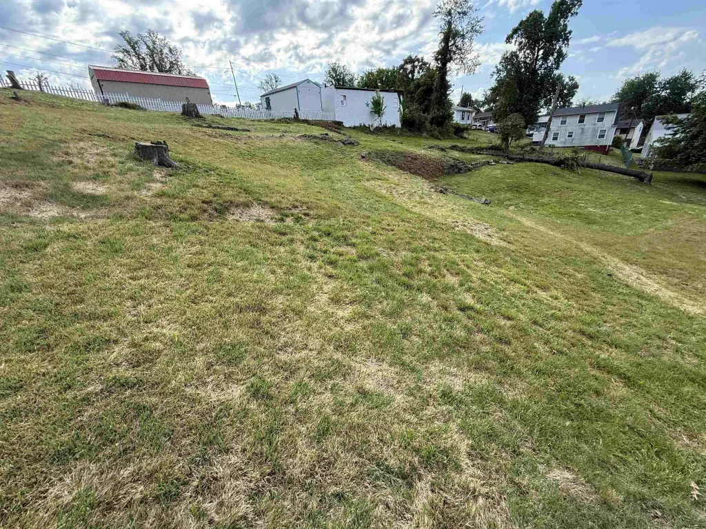 Picture 4