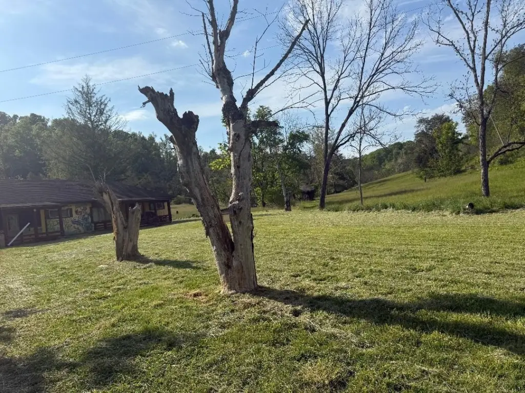 Picture 5