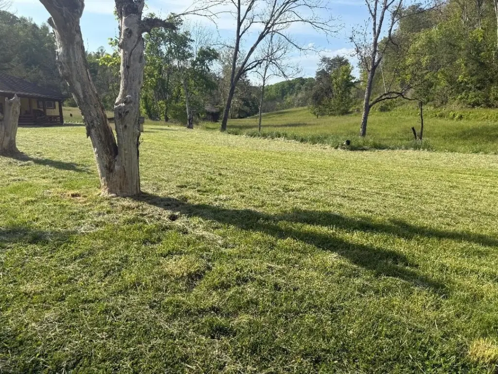 Picture 2