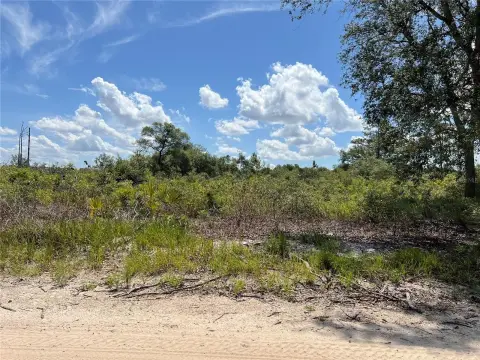Spacious Land Parcel in Dunnellon
