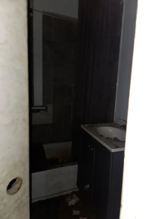 Picture 7