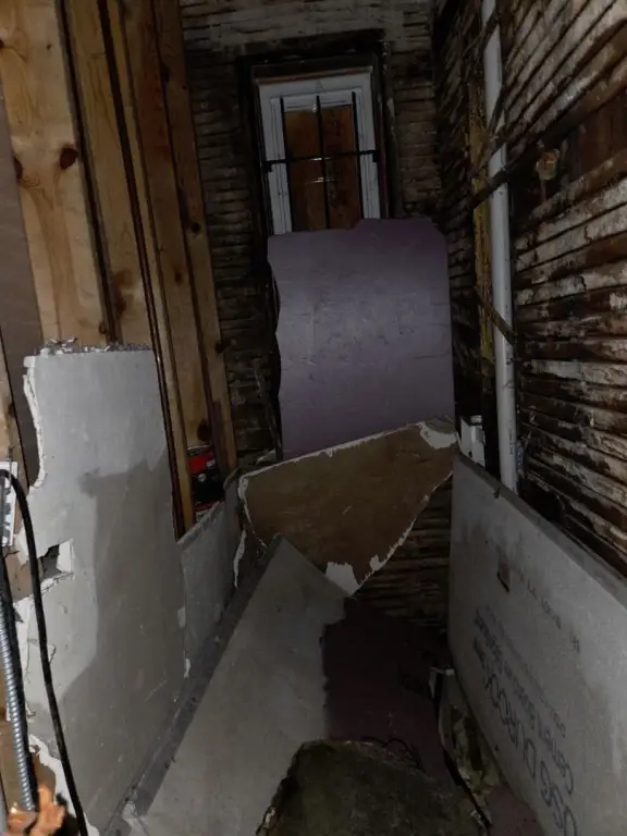 Picture 2
