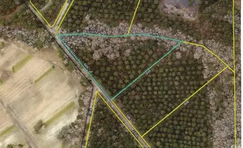 Estate-Sized Homesite in Plantersville