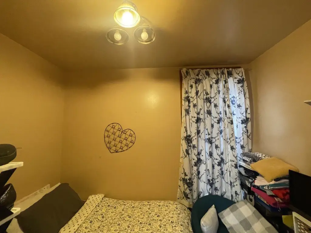 Picture 12