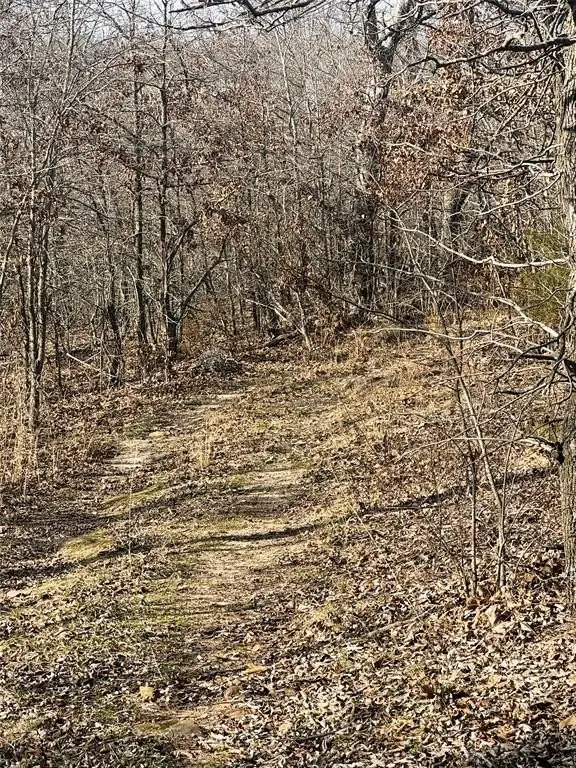 Picture 13