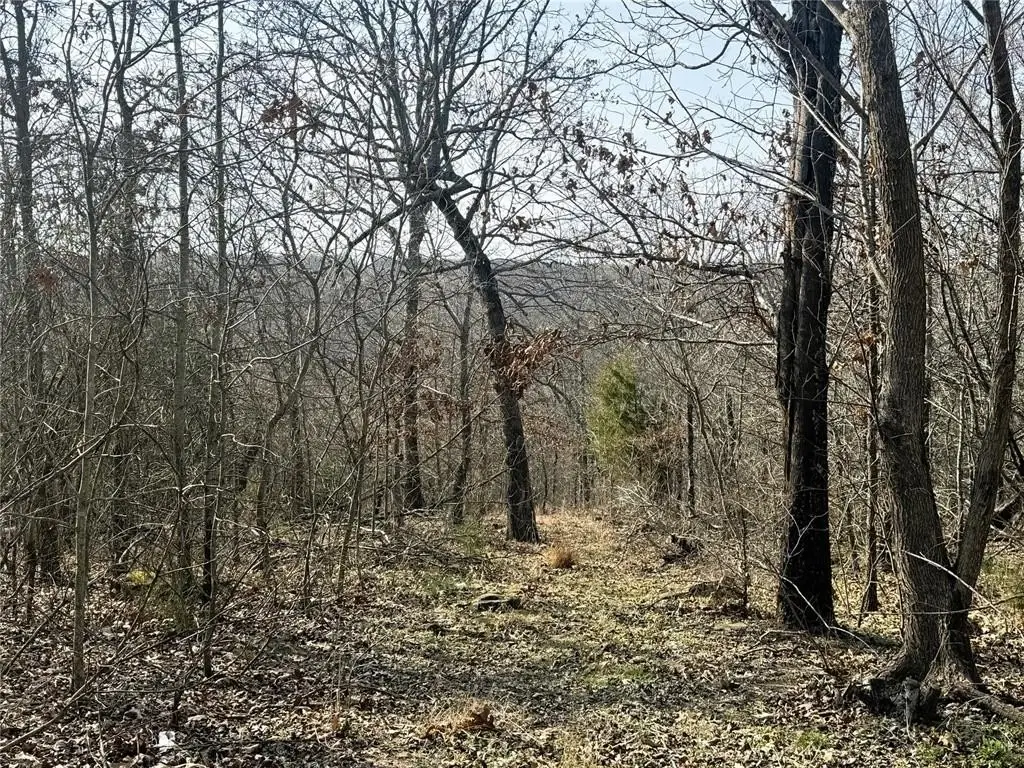 Picture 12