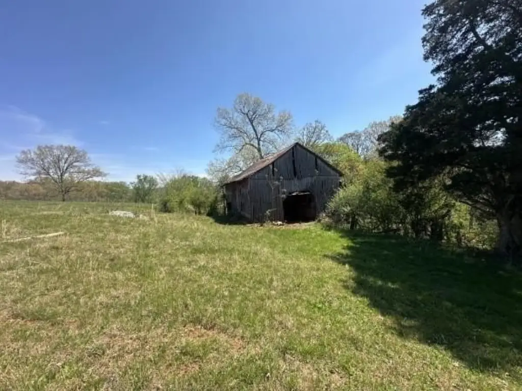 Picture 6
