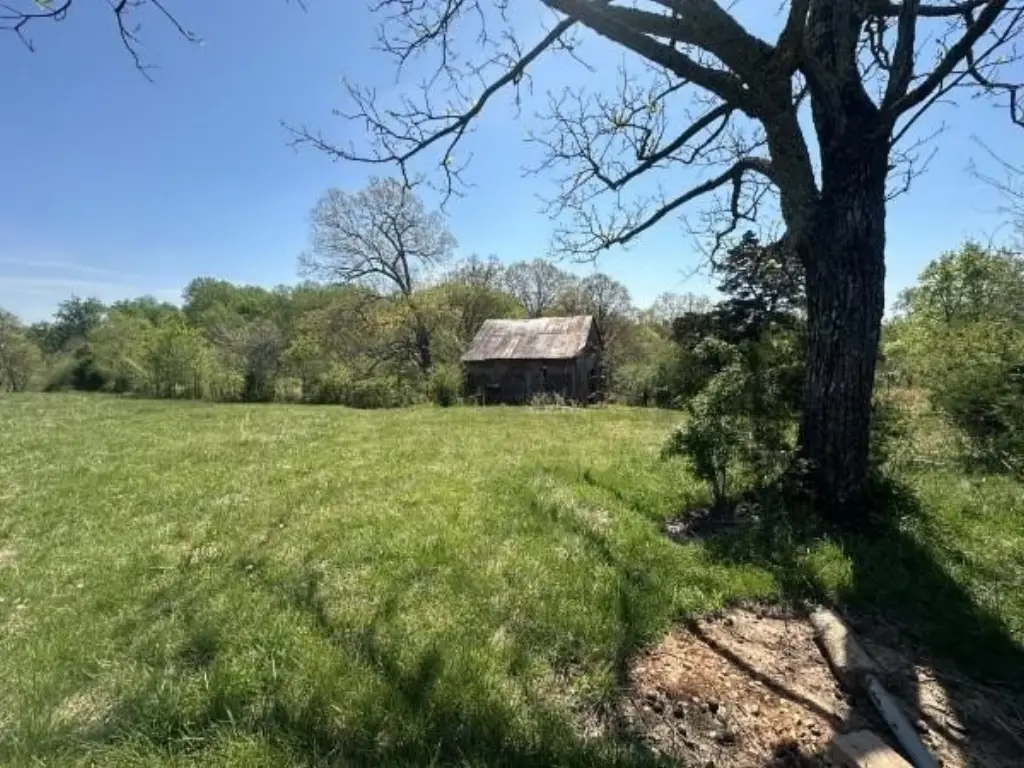 Picture 10