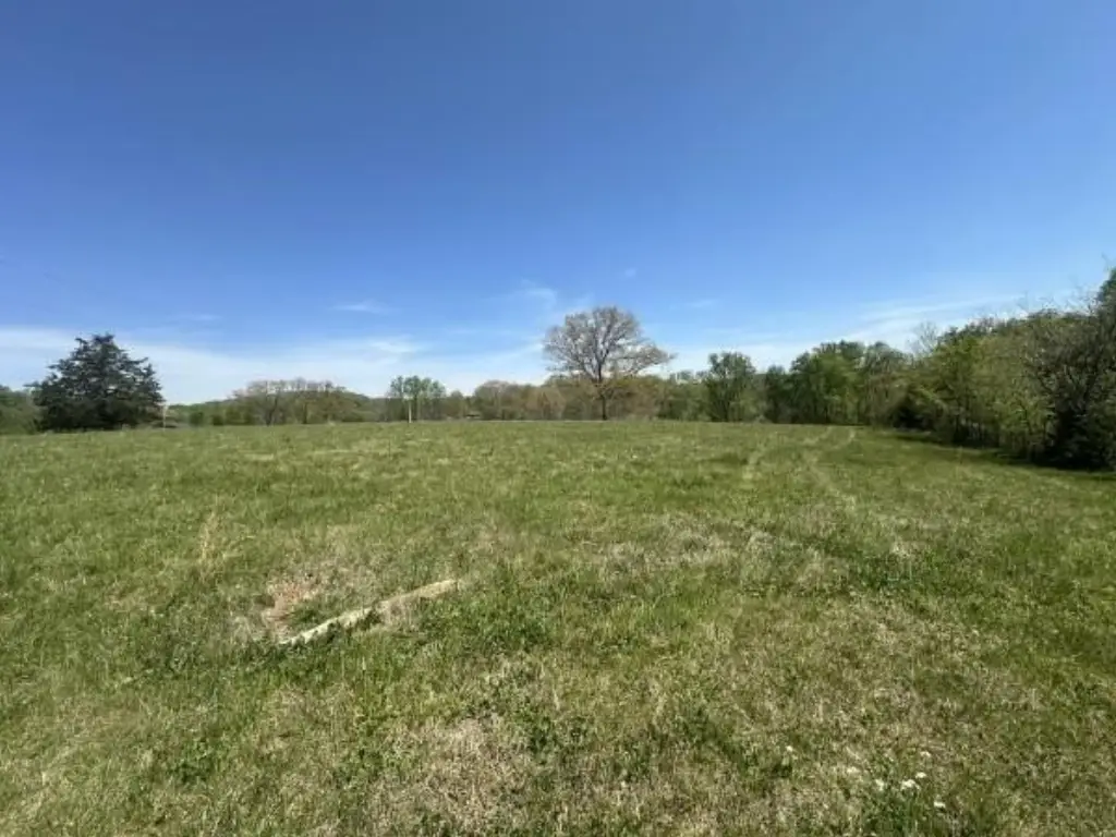 Picture 3