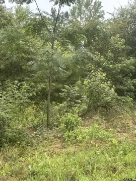 Pittsburg, TX Acreage For Sale