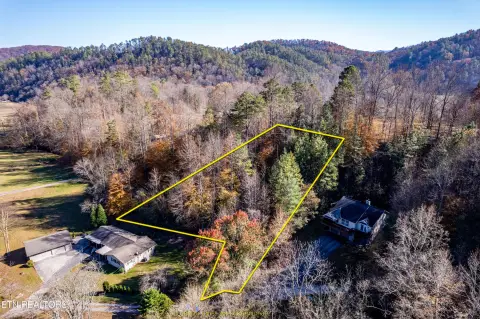 Walland, TN Wooded Lot