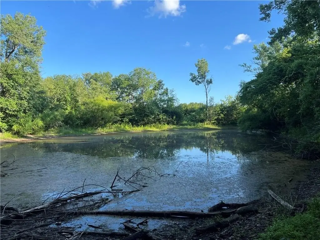 Picture 4