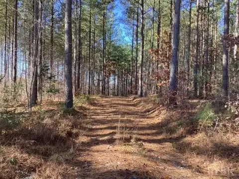 45 Acres of Country Living