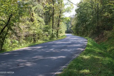 Heavily Wooded Land Near Carters Lake