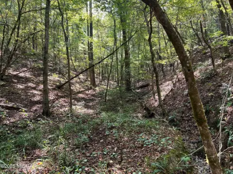 Large Acreage Tract in Murray