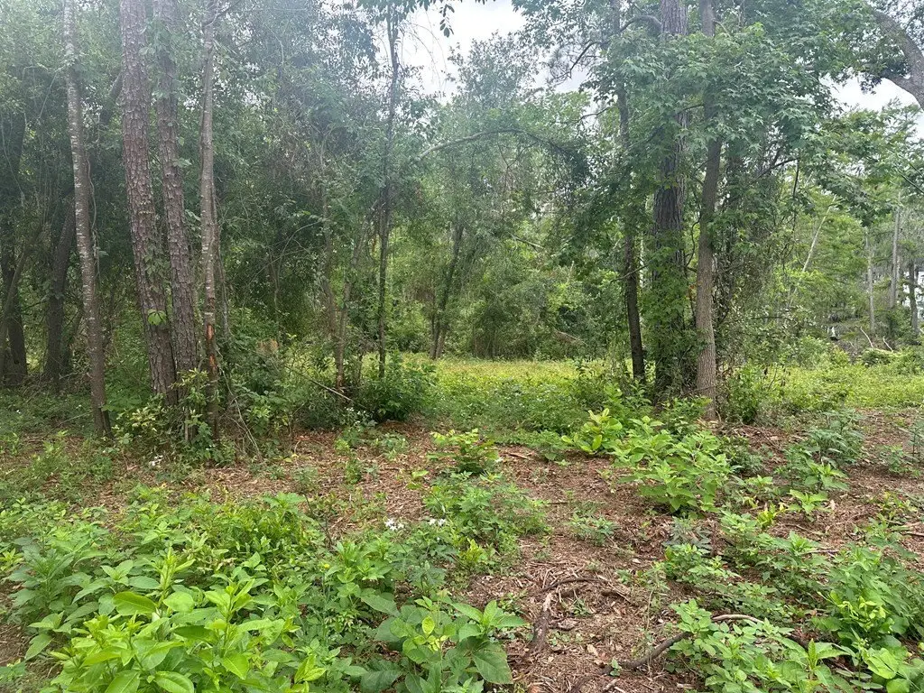 Picture 4