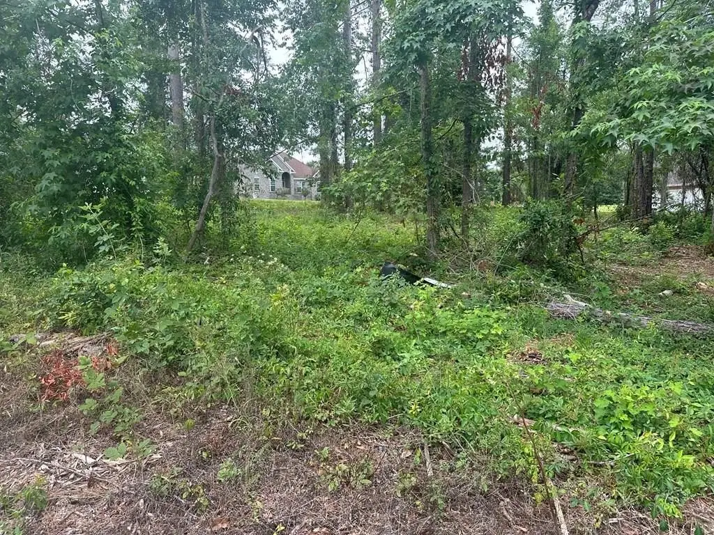 Picture 6
