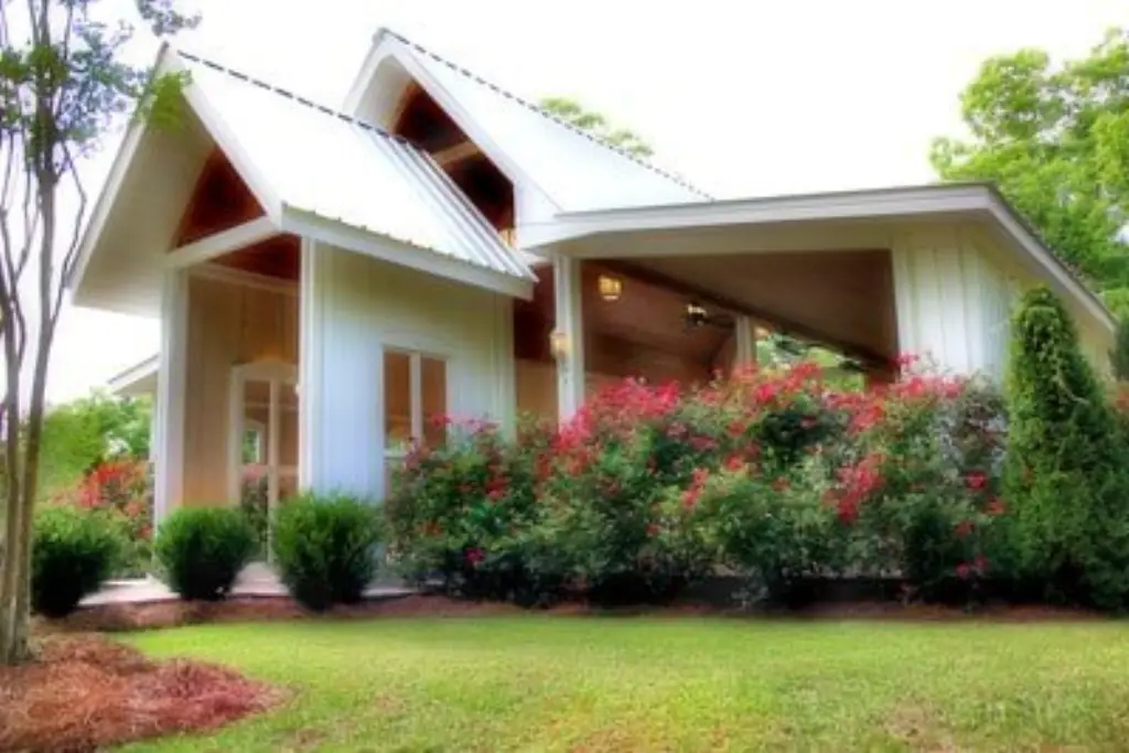 Picture 6
