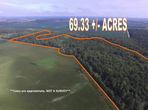 69.33 Acres Hunting Land in Illinois