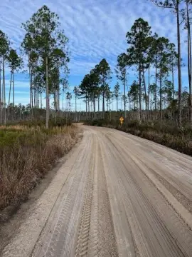 Excellent Hunting and Investment Tract