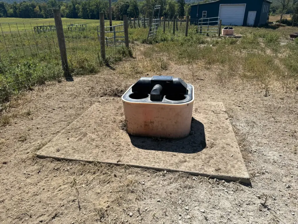 Picture 24