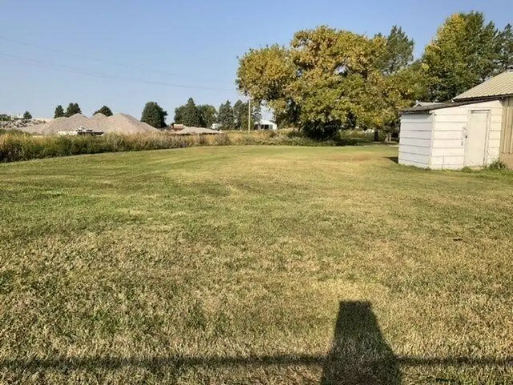 Picture 5