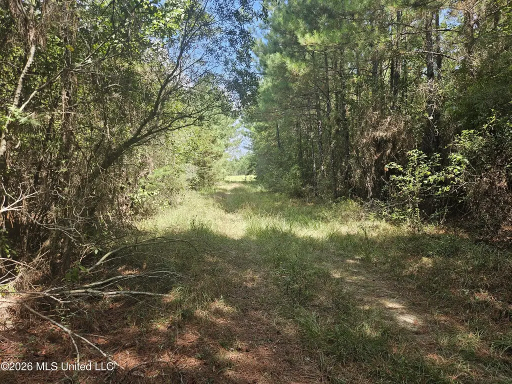 Picture 25