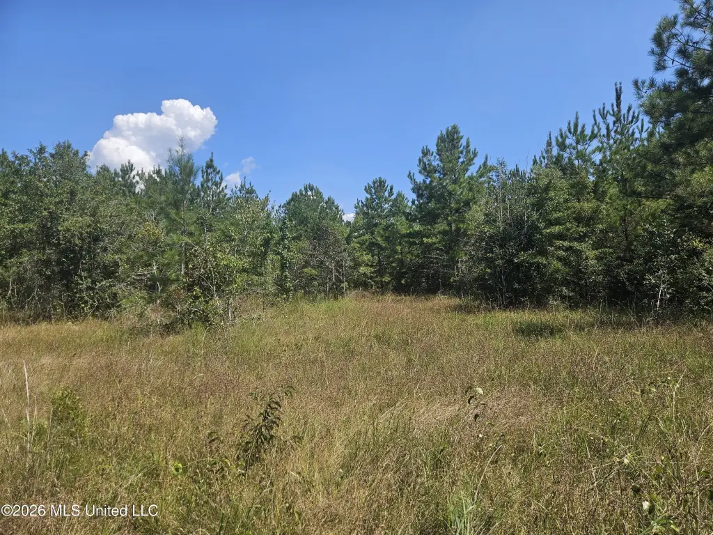 Picture 13
