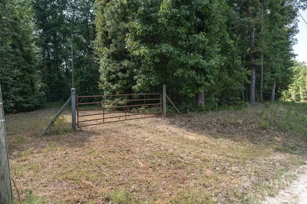 Picture 23