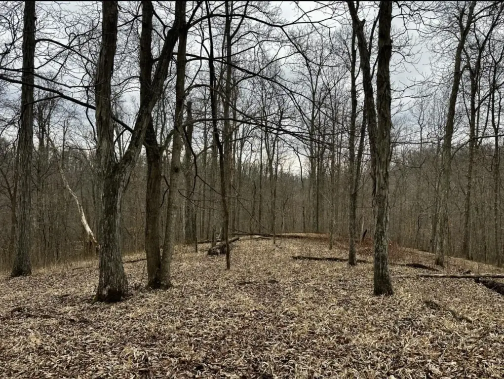 Picture 3