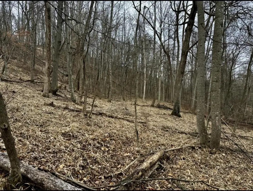 Picture 5