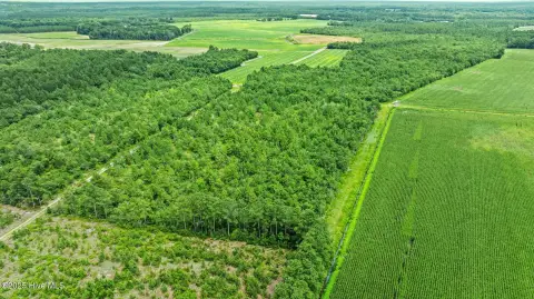 39 Acres in Bladen County