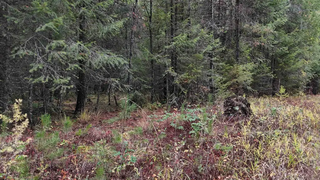 Picture 18