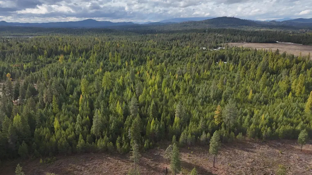 Picture 37