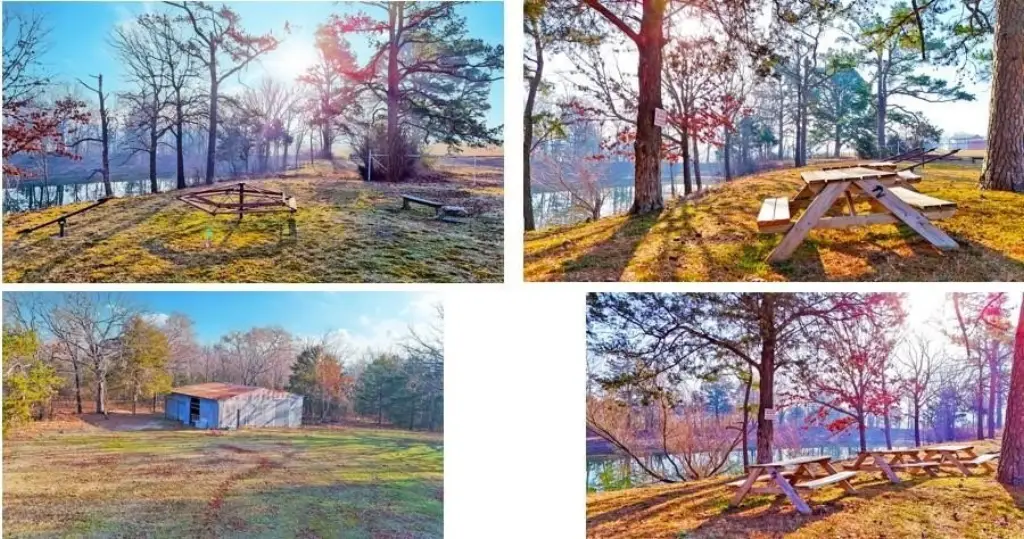 Picture 17