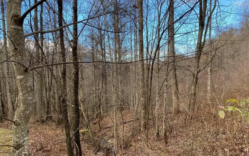 Picture 14