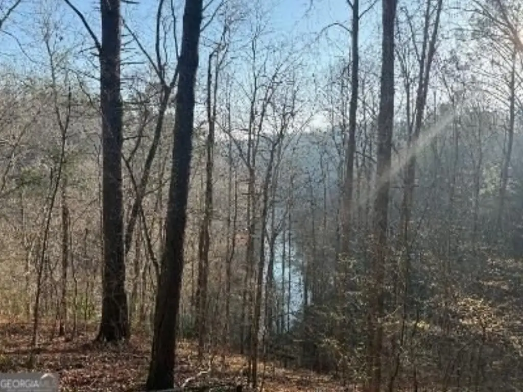 Picture 4