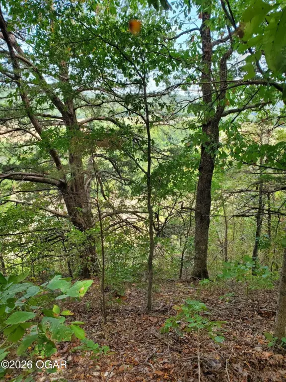 Picture 5