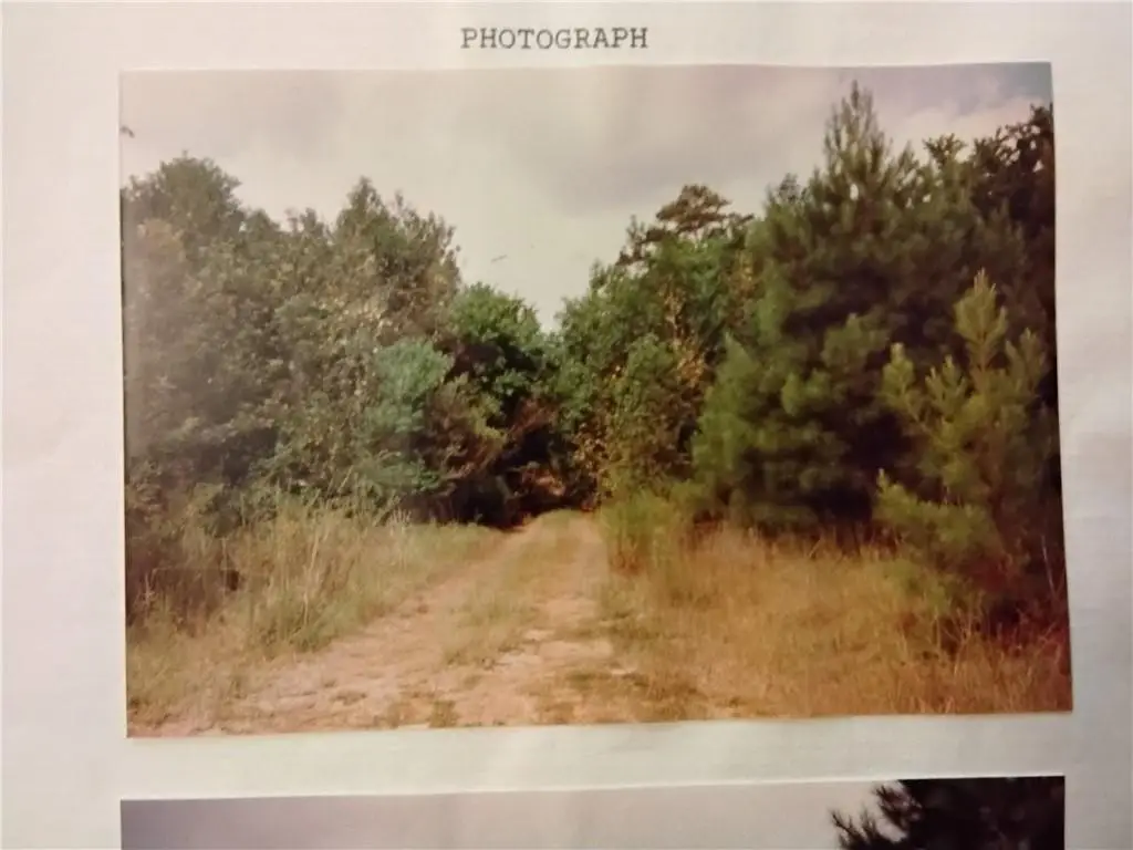 Picture 4